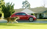 Volkswagen Beetle reklama taip pat su Dartu Veideriu